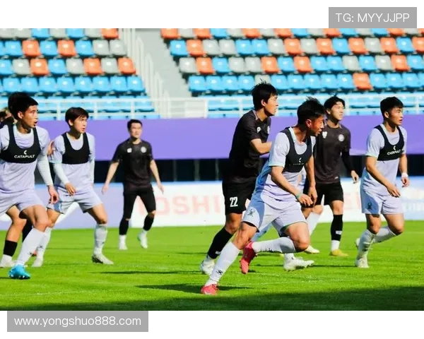 全国锦标赛回顾:杭州足球队展现实力与潜力的精彩表现分析 全国锦标赛回顾:杭州足球队展现实力与潜力的精彩表现分析