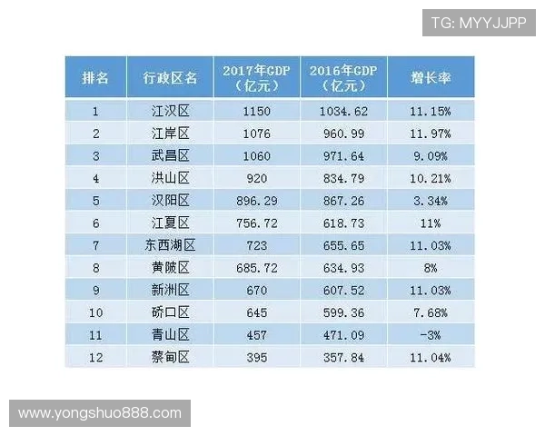 武汉排球队在选拔赛中的实力展现与未来发展潜力分析