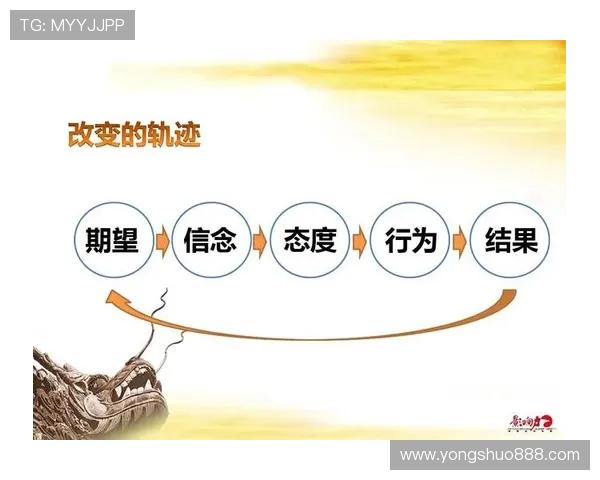 武汉羽毛球队的团队协作与战术配合深度分析与探讨